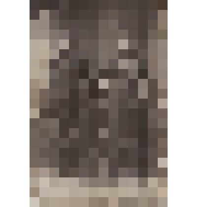 Ф/чб. Портрет двух унтер-офицеров - служащих Российской Царской армии (поволжские немцы, от Дизендорф). Нач. ХХ в. (до 1917 г.)