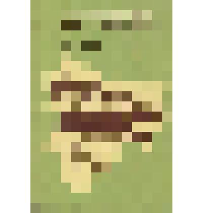 Стихи на марийском (горном) языке "Листья падают"