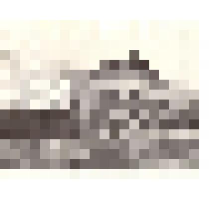 Фотография. Здание первого общественного кинотеатра "Лира" (сейчас в этом здании кафетерий "Русь")