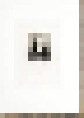 Портрет И.А. Гончарова. С фотографии К.И. Бергамаско (1873)