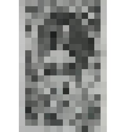 Портрет Марии [II], Стюарт королевы Англии и Шотландии