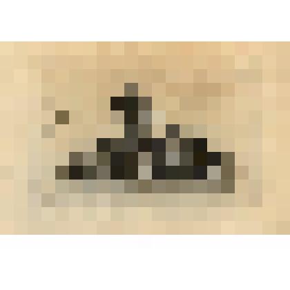 Le Lion et le Sanglier. (Скульптурная группа "Лев и Вепрь" (№ 140) - лист из альбома: «Recueil des statues, groupes, fontaines, termes, vases, et autres magnifiques ornaments du Chateau & Parc de Versailles.» T. I-IV. (Собрание фигур, групп, терм, фонтано