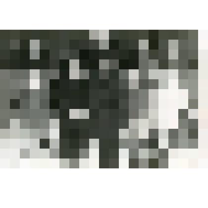 Фото. Вручение переходящего Знамени представителям колхоза им. Чапаева