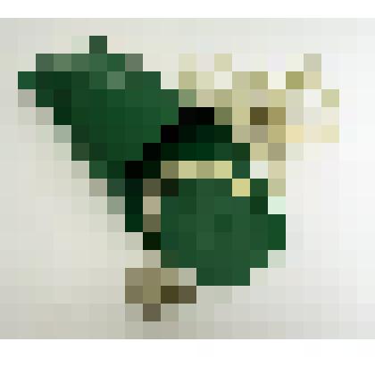 Электрокипятильник Лобынцева Николая Яковлевича