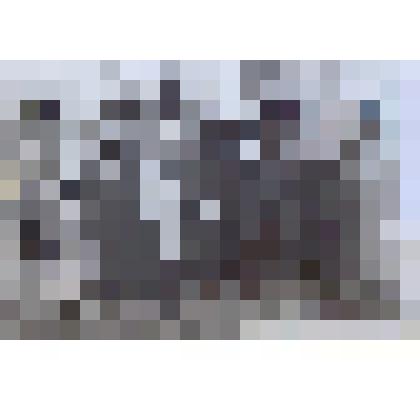 Фотография групповая. На снимке делегаты Республиканского совещания директоров