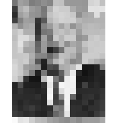 Фотография черно-белая. Каплан Лев Михайлович, пионервожатый в 30-е годы 20 века.  г.Тулун, Иркутской области