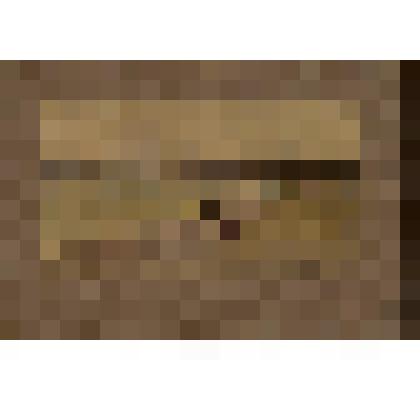 Лунная ночь