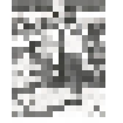 Фотоснимок "Вручение наград победителям.VI олимпиада сельских спортсменов Алтая "