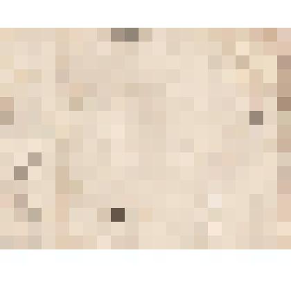 Телеграмма № 59 в г. Чердынь В. Н.Алину от Разевича со ст. Веретье ужд, апрель 1886 г