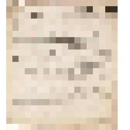 Телеграмма № 65 в г. Чердынь В.Н.Алину от Шахова из г. Усть-Куломы