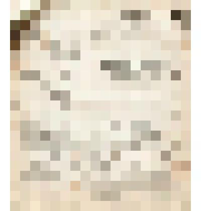 Телеграмма № 3639 в г. Чердынь В.Н.Алину от Головина из г. Перми, 08.09.1906 г