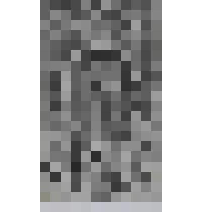 Портрет короля Людовика