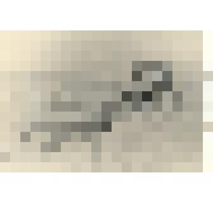 Фотография: снегозадержание тракторным снегопахом на полях Чапаевского отделения совхоза "Октябрь" Каменского района Алтайского края