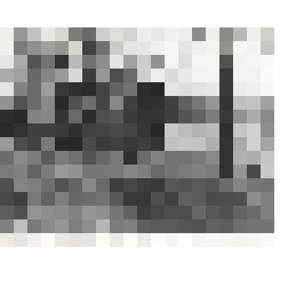 Фотография. Вилейский продовольственный магазин в д. Вилейка Сосновского района