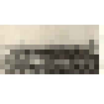 Фотография: перед севом в 4 бригаде Кировского отделения совхоза "Октябрь" Каменского района Алтайского края