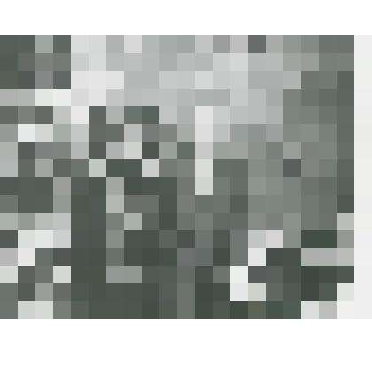 Фотография. В.В. Конецкий с супругой Татьяной