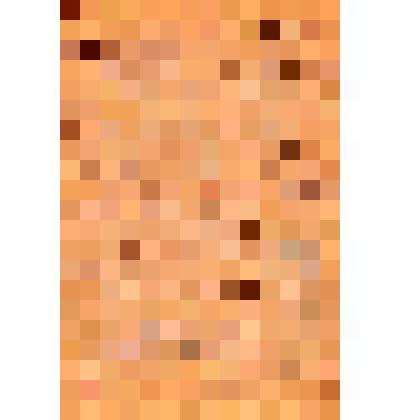 Письмо с фронта   Ипатьевой Г.В. от  Тапкова Вадима, студенческого друга