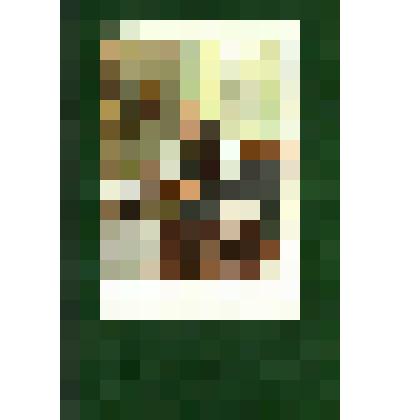 Лучшее лекарство