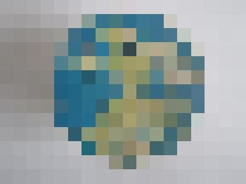 Значок "Муха Цокотуха"