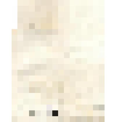 Гравюра. С работы Дюжардена К