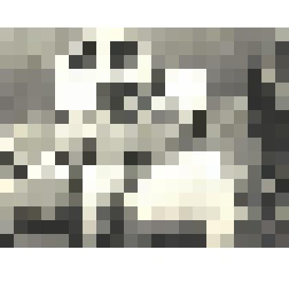 Фотографии. Фото ч/б .Хакасская областная больница Реанимационное отделение. Старшая медсестра А.Гиавлят и медсестра Л.Суханова