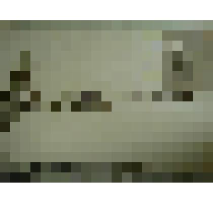 Гербарий. Малина сахалинская, гербария М.И.Губельмана