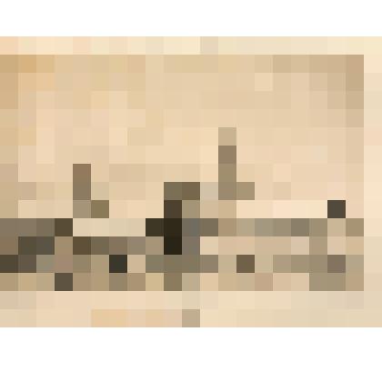 Литография. "Троицкий монастырь. Московская губерния. Северная сторона."