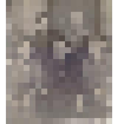 После вручения правительственных наград