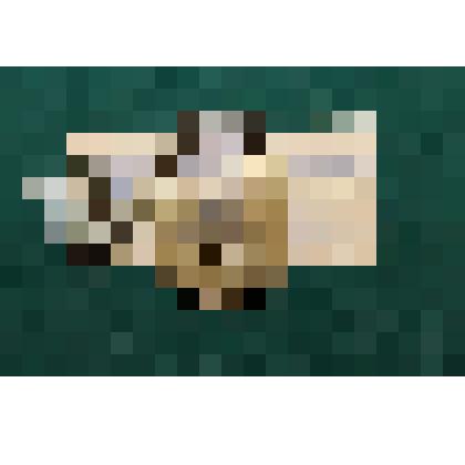 Замочек навесной