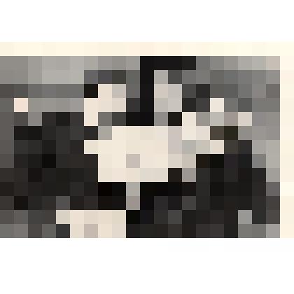 Фотография. Кассиль Л.А., Ермолаев А. на Неделе детской книги