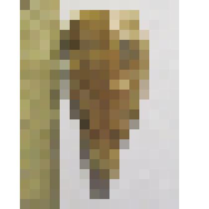 Фрагмент наконечника стрелы