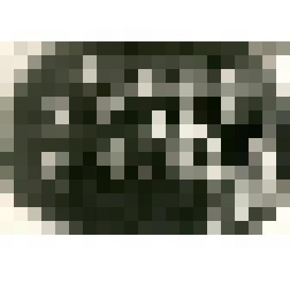 Групповой снимок. Верхний ряд: Федор Васильевич, Николай Васильевич, Кеша, Вася. Второй ряд: Мария Васильевна, Зоя Васильевна, Ирочка, Маруся Васильевна, Анна Ханды. Сидят: Катерина Николаева, Устинья Михайловна, Ирина Михайловна, Дуся и Фелицата Никитичн