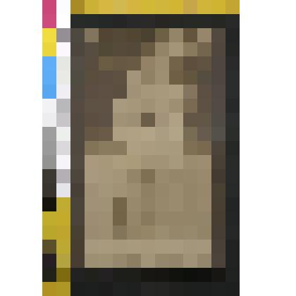 Открытка.Репродукция с фотографии С.А.Толстой. Л.Н.Толстой. 1897г