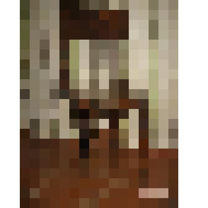 Стул со спинкой