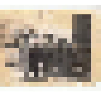 Ф/чб. Супруги Банниковы Юрий и Мария на первомайской демонстрации. Энгельс. ~ 1953