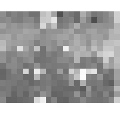 Фоторепродукция. Групповая фотография. Семья Маяковских