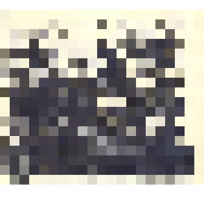 Экслибрис "З книг К.Д. Шумського"