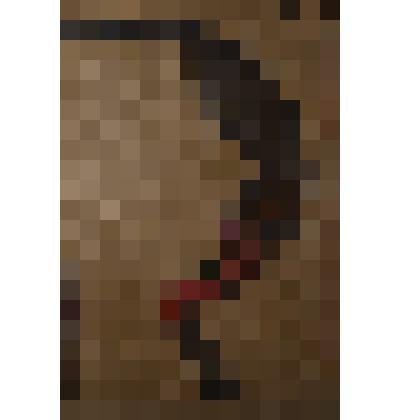 «Коллективизация. 1929 год»