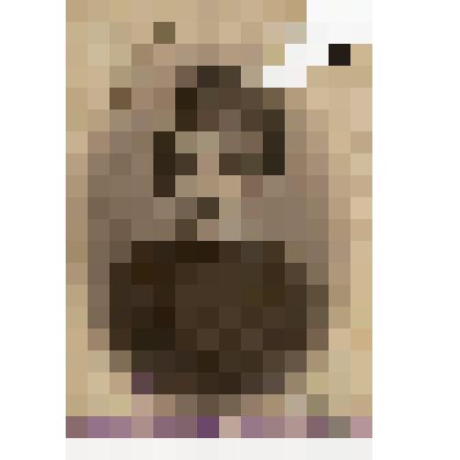 Фотография. Иван Степанович Шангин. Рабочий Алатырских железнодоржных мастерских, участник установления советской власти в г. Алатыре и уезде