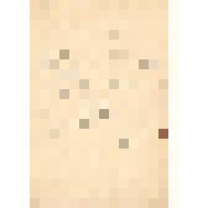 Портрет Веры Заорской, жены художника