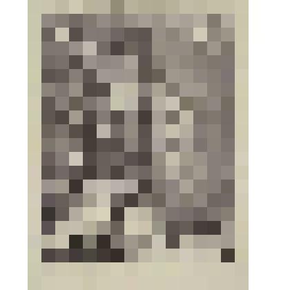 Разрушенный дом. Из серии "Ленинград"