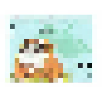 Марка (собака породы "Боксер")