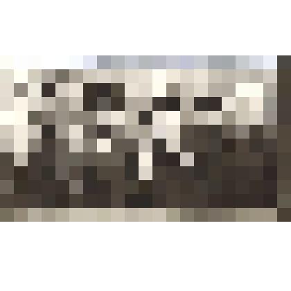 Фотография "Строители 1298 ПМК на демонстрации"