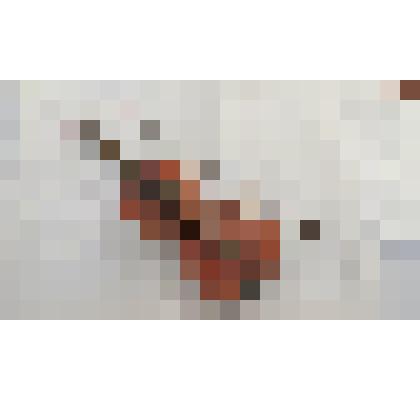 Альт скрипичный