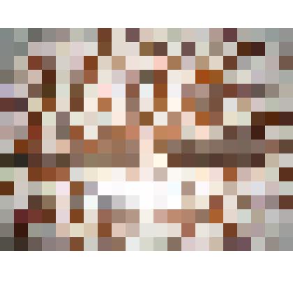 Пика казачья