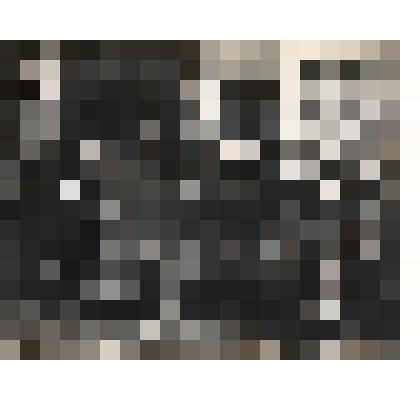 Фотография "Шахтеры на субботнике"