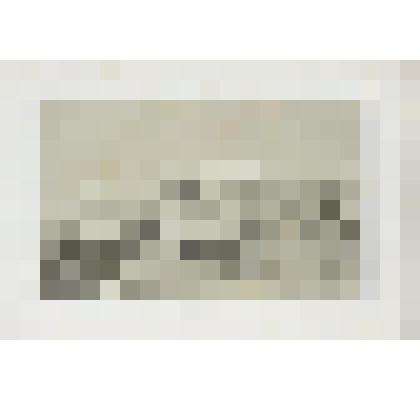 Литография. "Казань. Крепость. Со стороны реки Казанки."