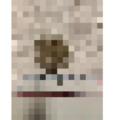 Монета номиналом 10 рублей