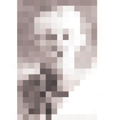 Негатив. Басов - председатель сельского совета, участник Гражданской войны и партизанского движения в Туапсинском районе, 1918-1920 гг