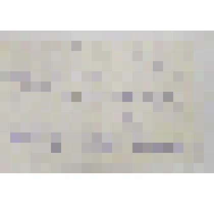 Письмо к Степановой А.И. Подписи: "Марина, Оля"